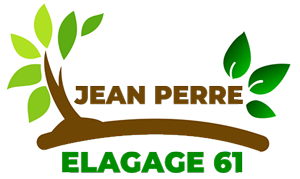 elagage-jean-perre-elagage